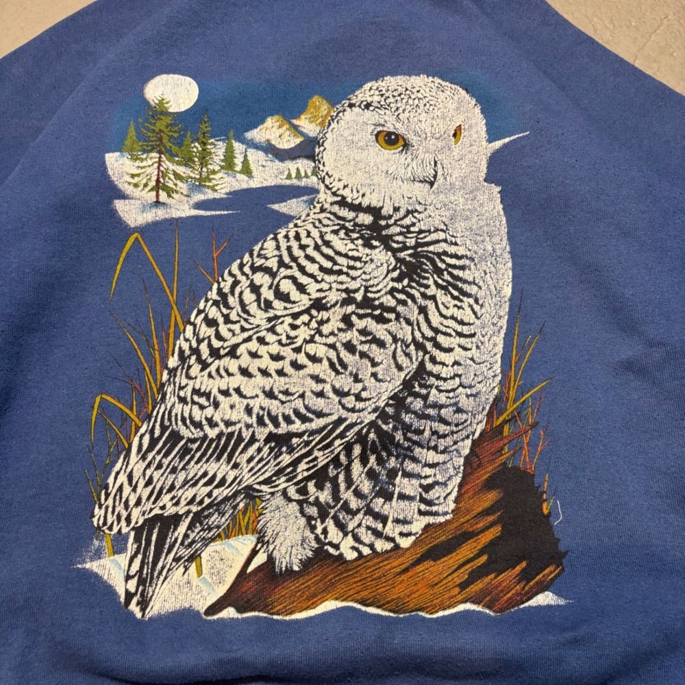 Vintage Snowy Owl Sweatshirt XL Blue Vintage Graphic Raglan Jerzees  USA  90s - Picture 10 of 10